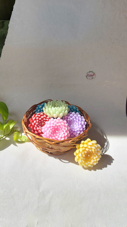 شمع گل داوودی