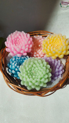 شمع گل داوودی